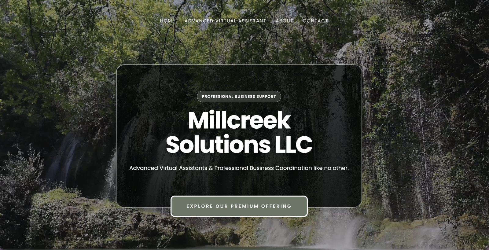 Virtual assistant website