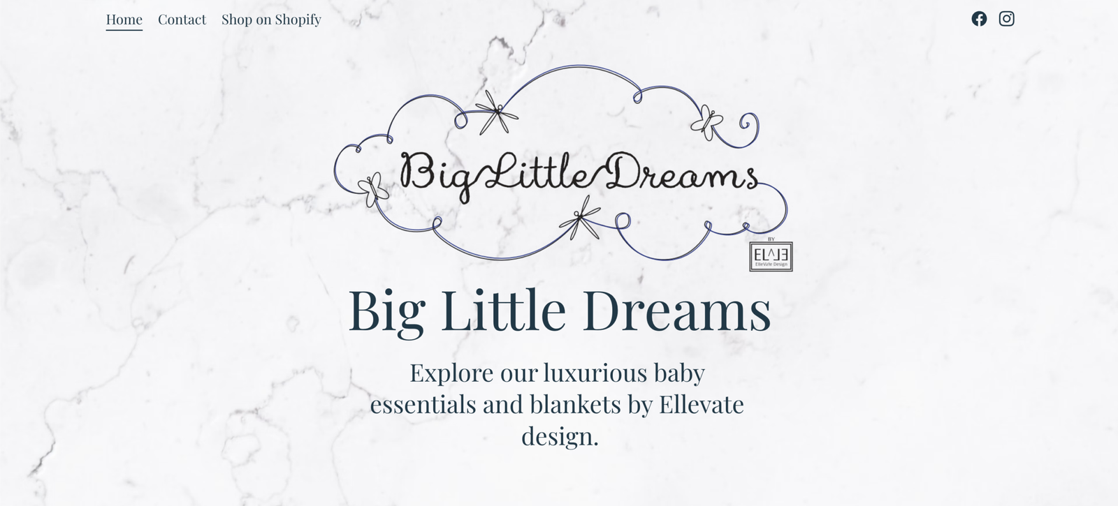 Ecommerce website